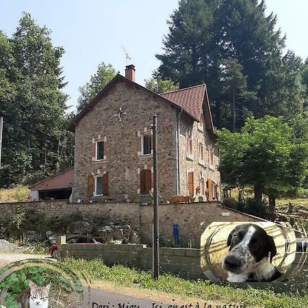 E Lu Chantauziau Appartement La Monnerie-le Montel Buitenkant foto