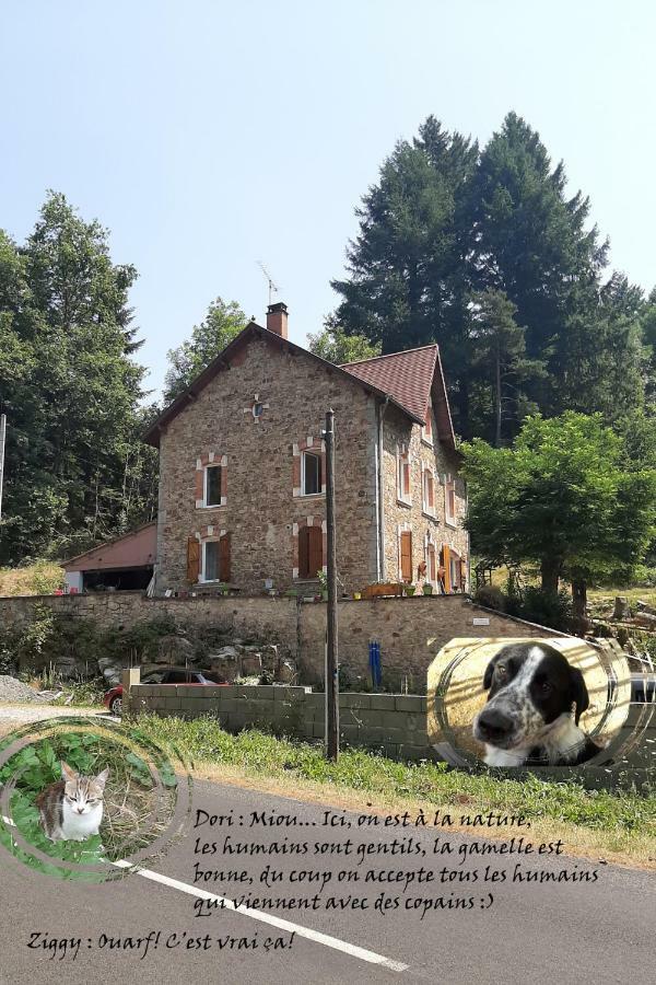 E Lu Chantauziau Appartement La Monnerie-le Montel Buitenkant foto